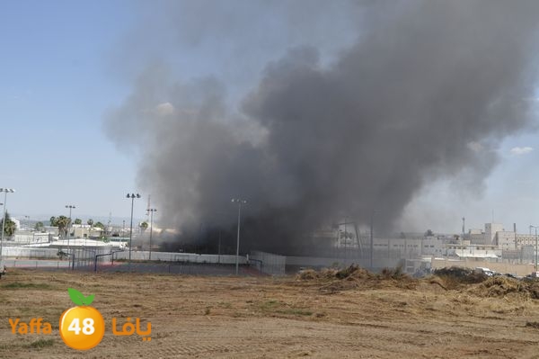 fireramlasejn4288 (24).JPG